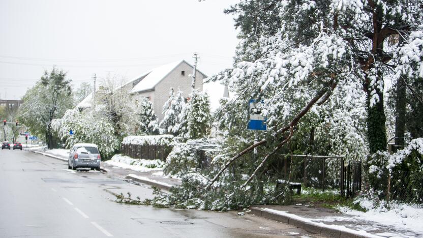 Gegužės 12-osios rytas Kaune