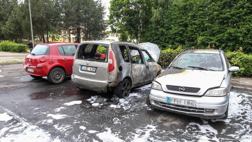 Šarkuvos g. sudegė du automobiliai