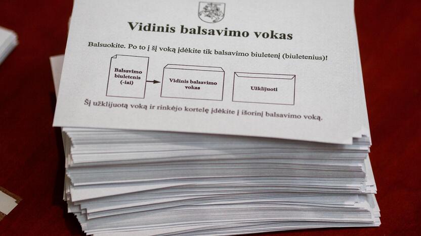 Vilniuje – išankstinis balsavimas savivaldos rinkimuose