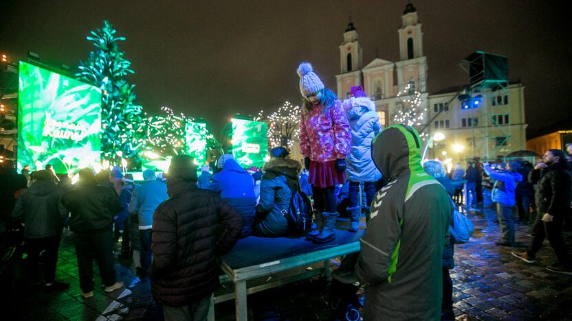 Kalėdų eglės įžiebimas: kauniečiai rinkosi prie tvorų