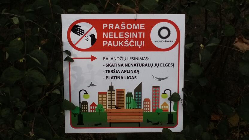 Puikiai: viešose vietose lentelės paaiškina, kodėl nevalia lesinti paukščių.