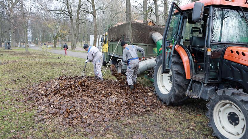 Planas: besibaigiant žiemai, ruošiamasi Klaipėdos parkų teritorijų tvarkymui.