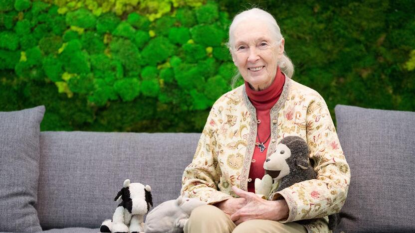 Jane Goodall