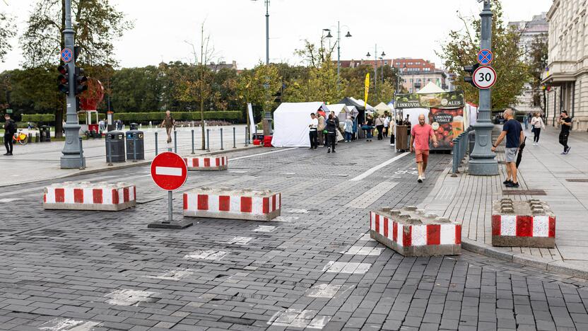 Tautų mugė Gedimino prospekte