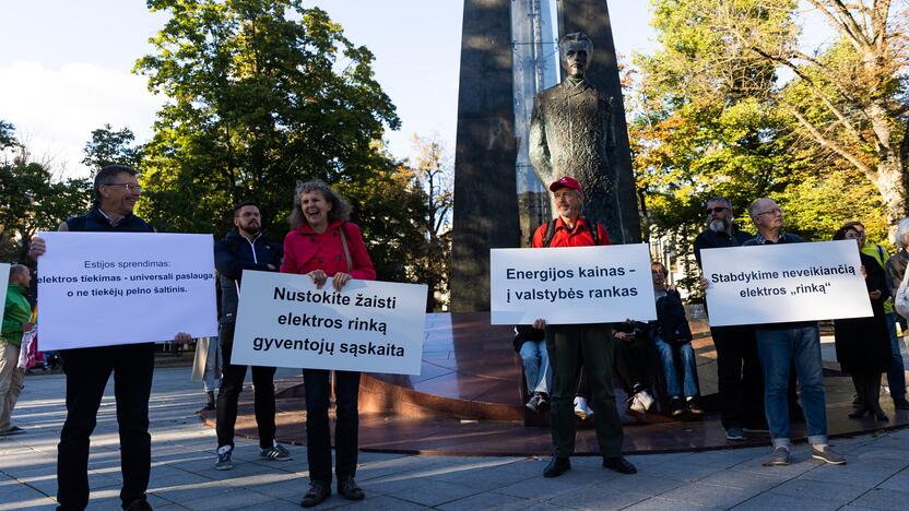 Nacionalinio susivienijimo surengta protesto akcija