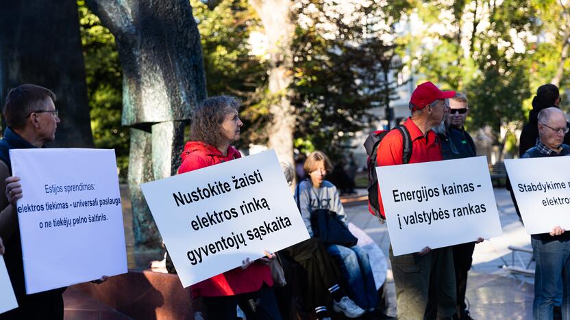 Nacionalinio susivienijimo surengta protesto akcija