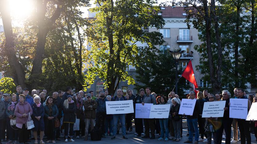 Nacionalinio susivienijimo surengta protesto akcija