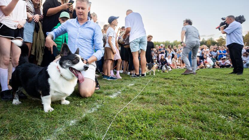 Korgių lenktynės Vingio parke