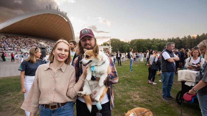 Korgių lenktynės Vingio parke