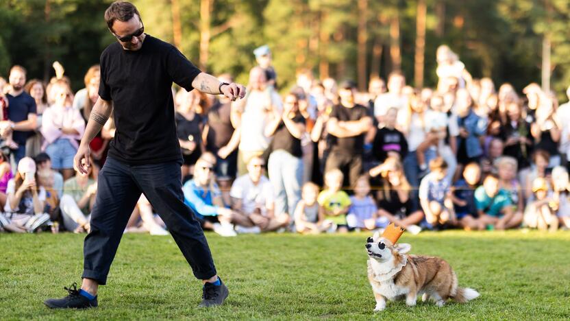 Korgių lenktynės Vingio parke