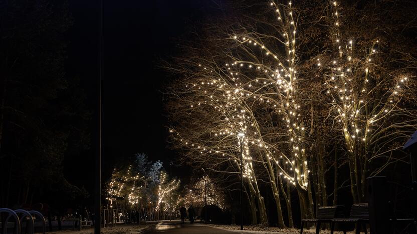 Kauną apgaubė kalėdinė magija