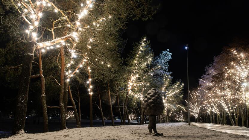 Kauną apgaubė kalėdinė magija