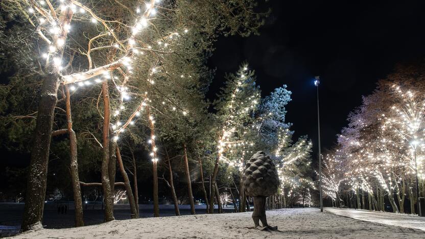 Kauną apgaubė kalėdinė magija