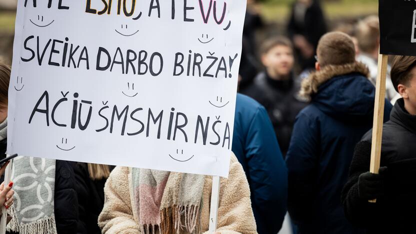 Moksleivių piketas prieš vienuoliktokų tarpinius patikrinimus