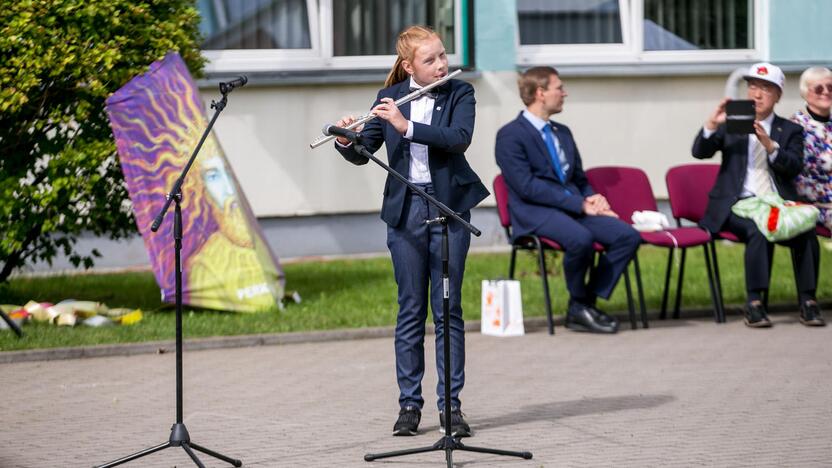 Japoniškų aitvarų festivalis