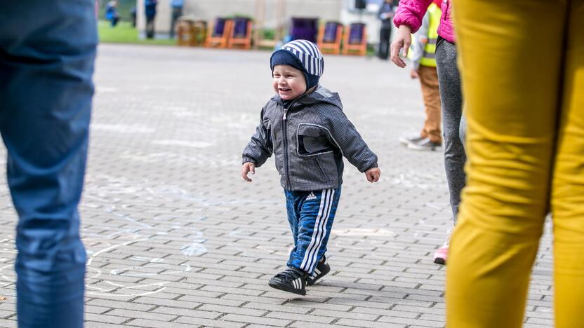 Japoniškų aitvarų festivalis