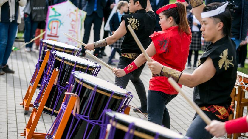 Japoniškų aitvarų festivalis