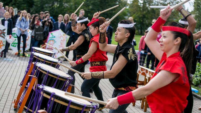 Japoniškų aitvarų festivalis