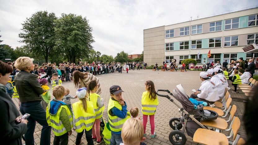 Japoniškų aitvarų festivalis