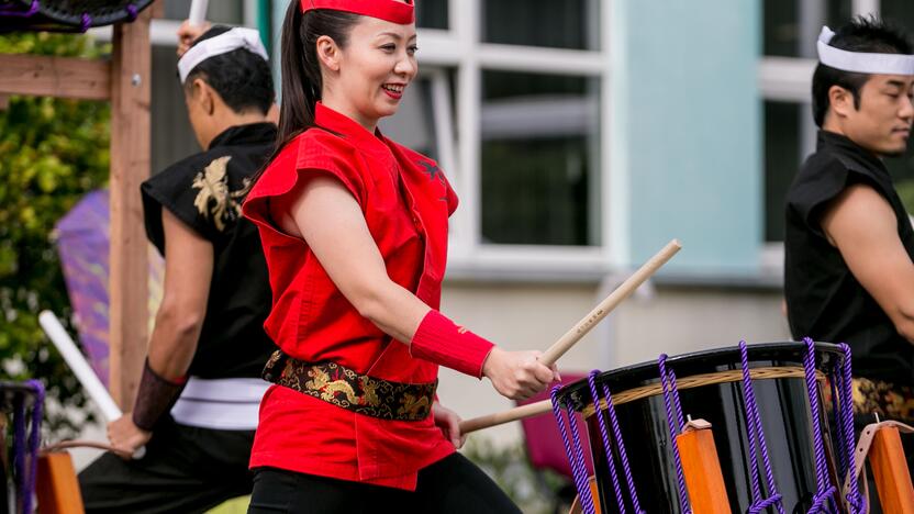 Japoniškų aitvarų festivalis