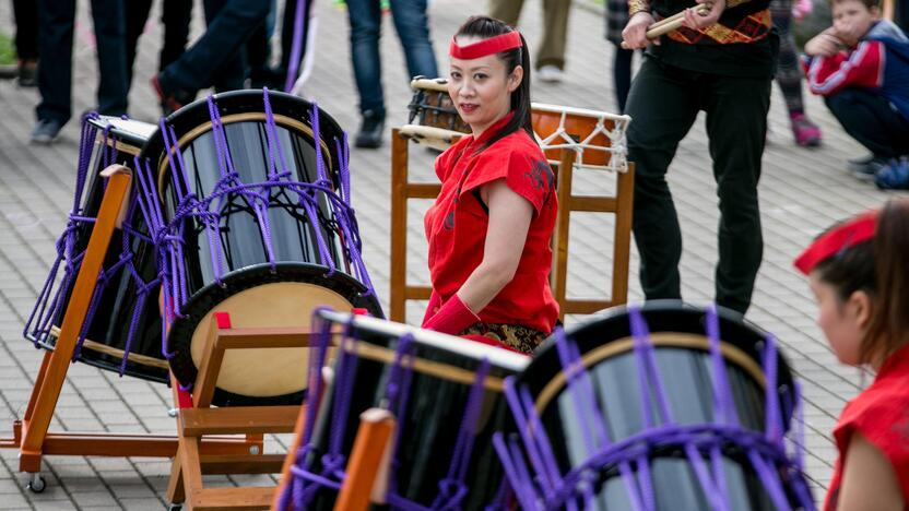 Japoniškų aitvarų festivalis