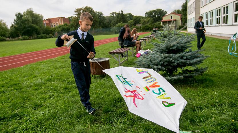 Japoniškų aitvarų festivalis