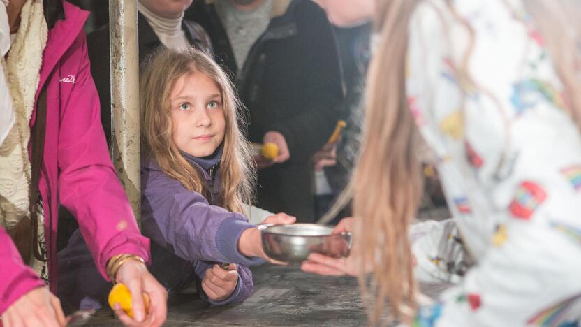 Žaliakalnio turgaus teatro festivalis 2017