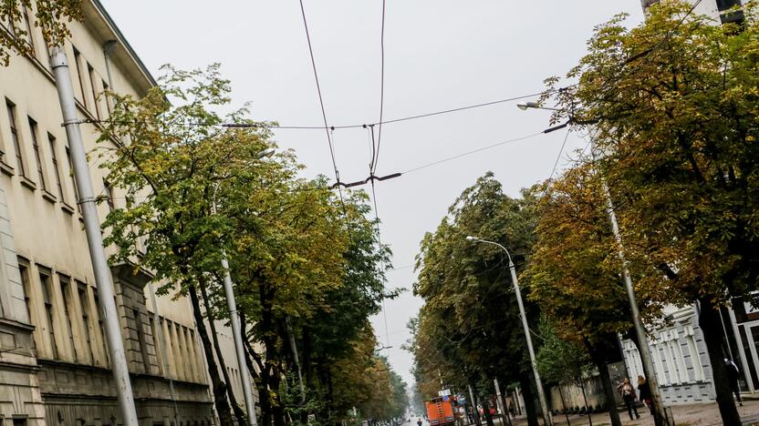 Nutraukti Kęstučio g. troleibusų laidai