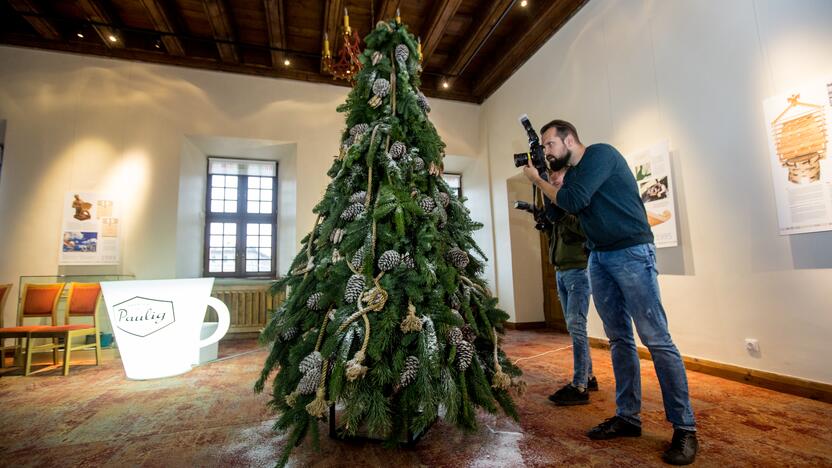 Kauno Kalėdų eglės pristatymas