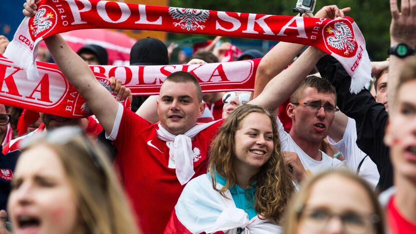 Euro 2016: Lenkija - Šiaurės Airija 1:0