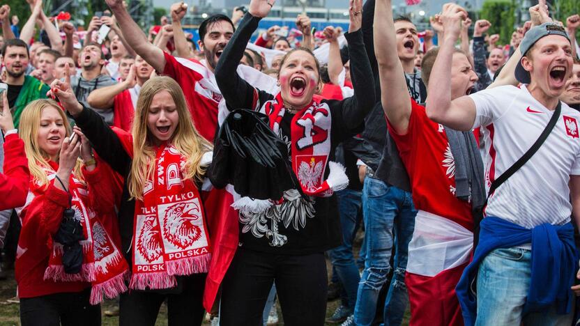 Euro 2016: Lenkija - Šiaurės Airija 1:0