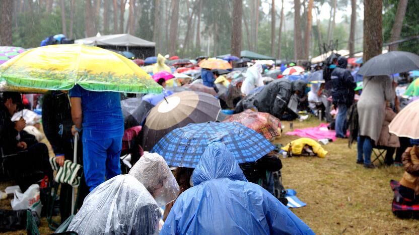 Kulautuvoje – jubiliejinė „Akacijų alėja“