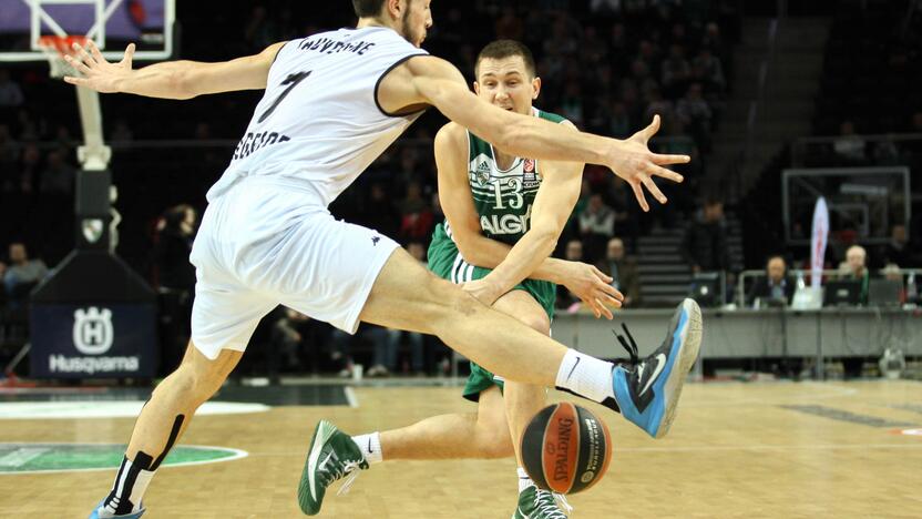 Žalgiris prieš Partizan Nis