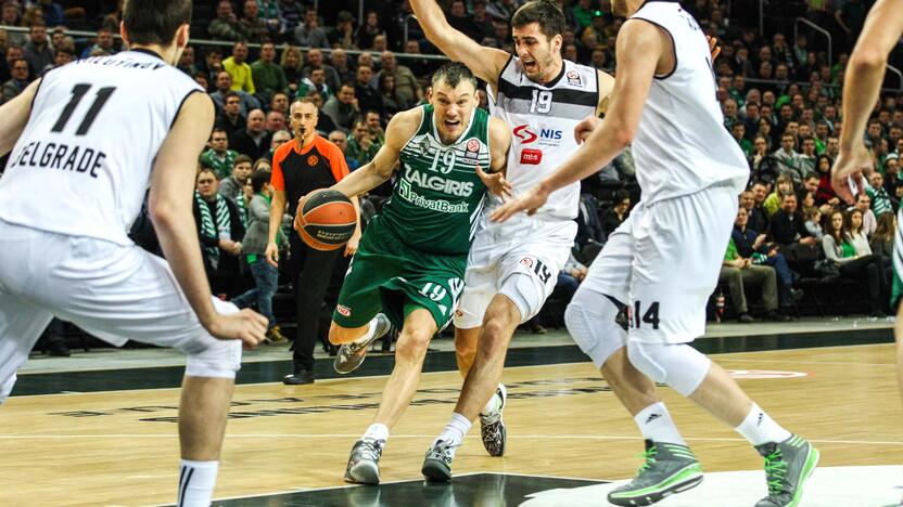 Žalgiris prieš Partizan Nis