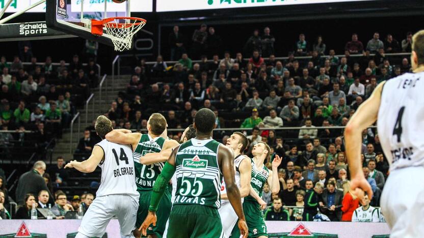 Žalgiris prieš Partizan Nis