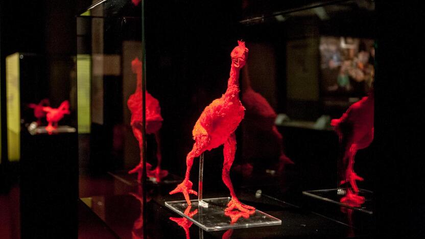 "Body worlds vital" paroda Kaune