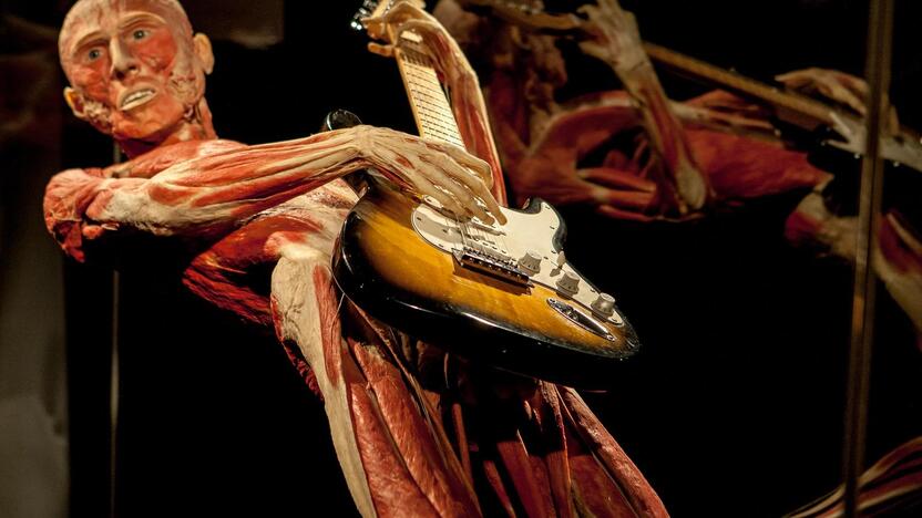 "Body worlds vital" paroda Kaune