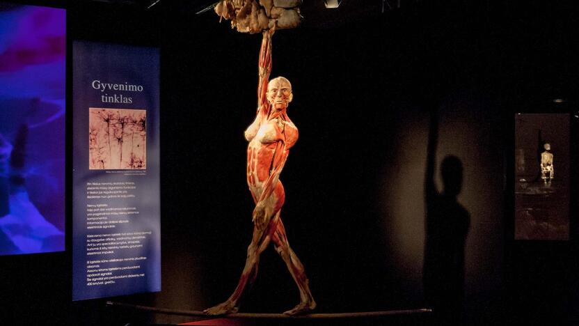 "Body worlds vital" paroda Kaune