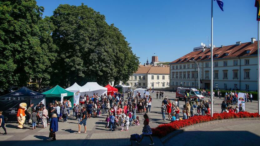 Mokyklinių prekių rinkimo mugė S. Daukanto aikštėje