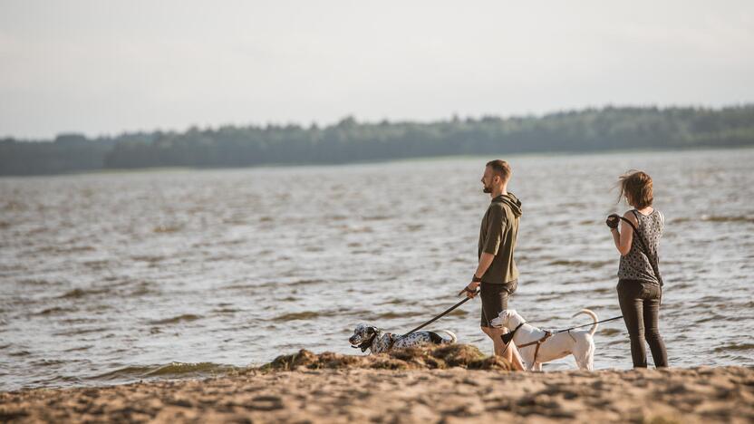 „Bliuzo naktų” pirmasis vakaras