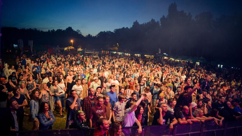 Festivalio „Bliuzo naktys“ akimirkos