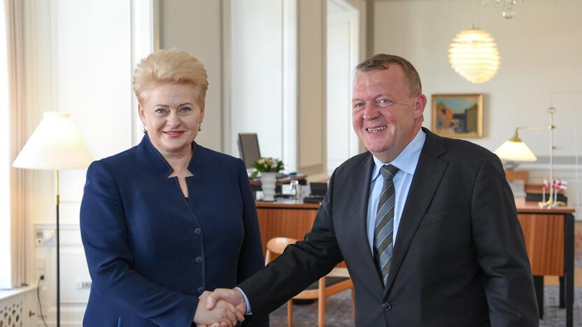 D. Grybauskaitės vizitas Danijoje