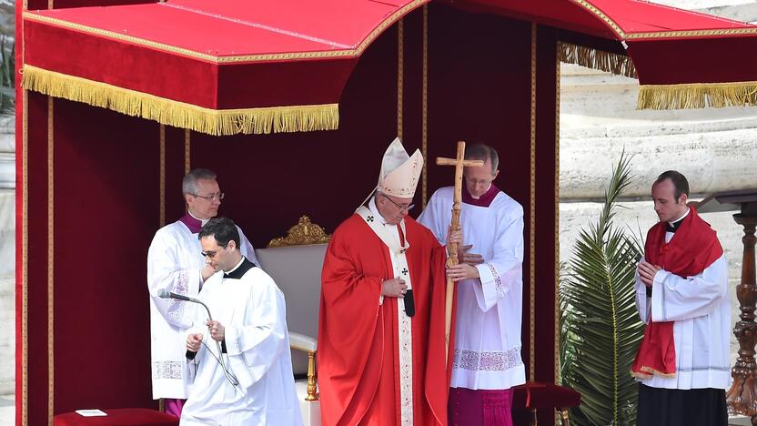 Popiežius palaimino palmių ir alyvmedžių šakeles