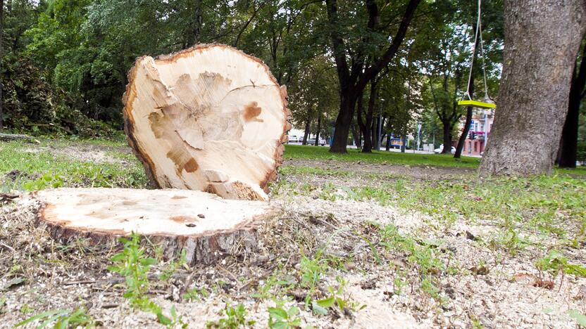 Po škvalo Reformatų parkas tvarkomas tik dabar