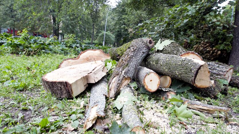 Po škvalo Reformatų parkas tvarkomas tik dabar