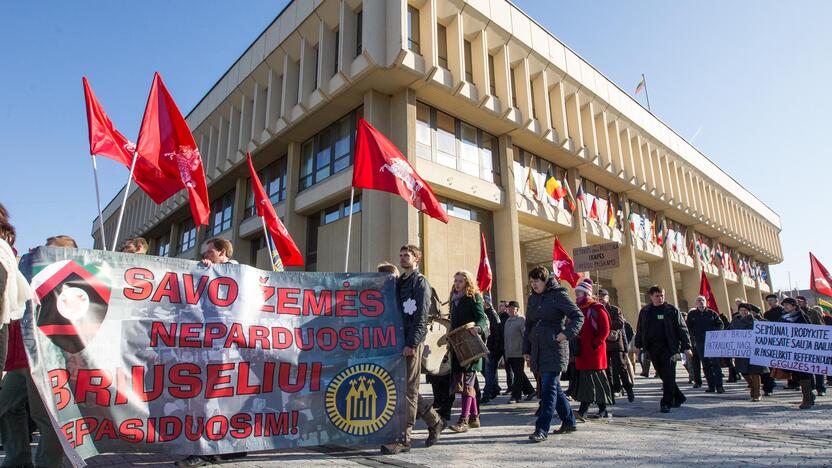 Nepriklausomybės aikštėje Vilniuje mitingavo referendumą palaikantys piliečiai