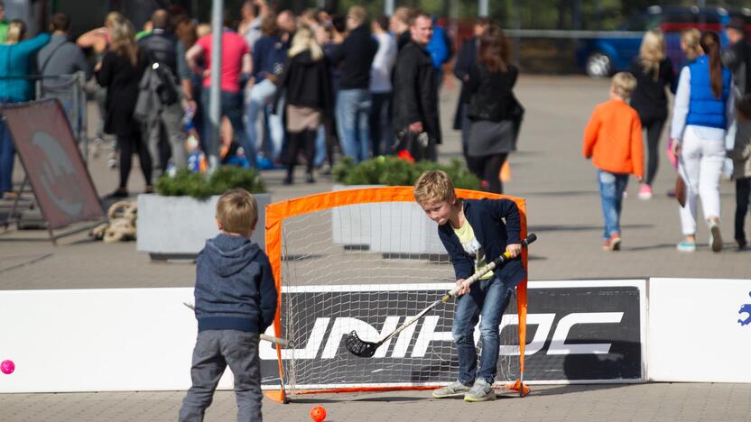 Vilniaus sporto festivalis 2015