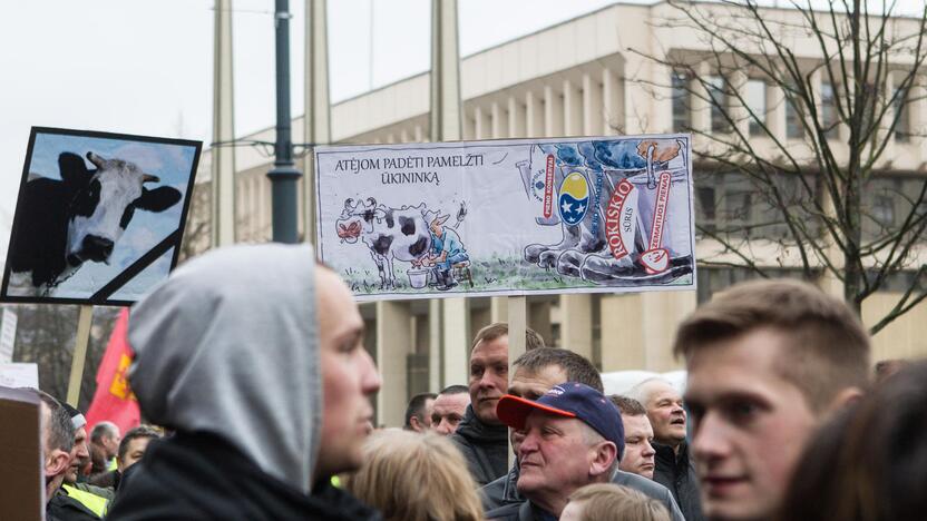 Pieno gamintojų protesto akcija