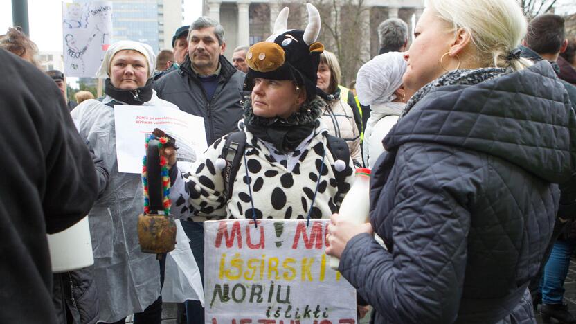 Pieno gamintojų protesto akcija