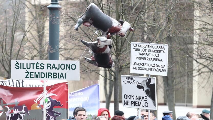 Pieno gamintojų protesto akcija